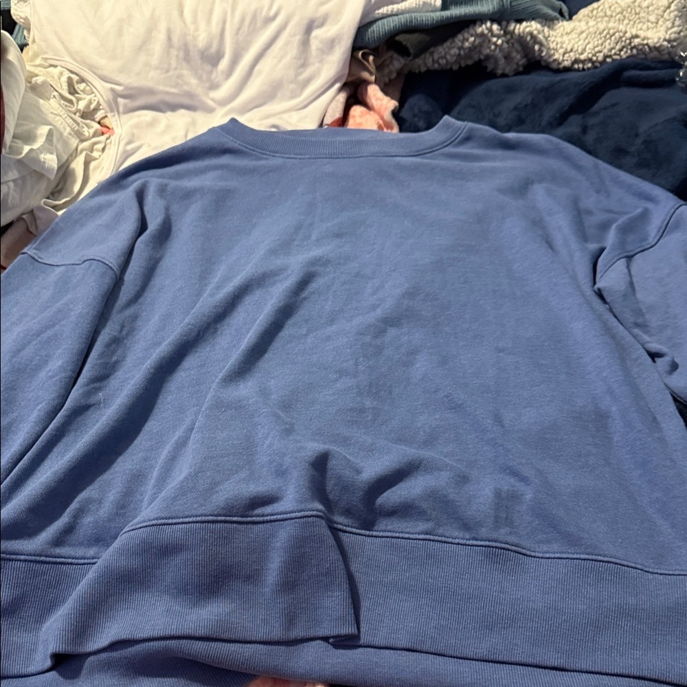 Time and Tru Women's Blue Crewneck Sweater